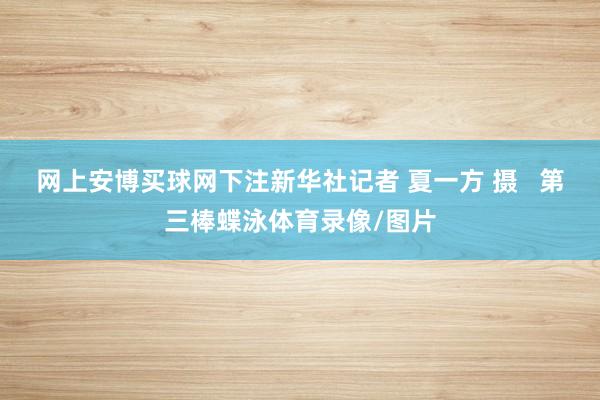 网上安博买球网下注新华社记者 夏一方 摄   第三棒蝶泳体育录像/图片