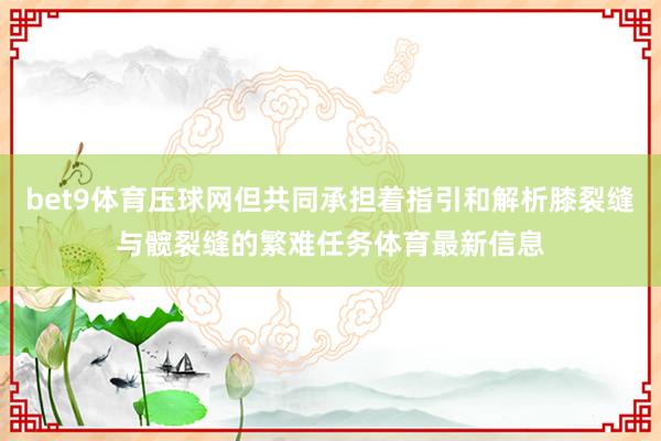 bet9体育压球网但共同承担着指引和解析膝裂缝与髋裂缝的繁难任务体育最新信息