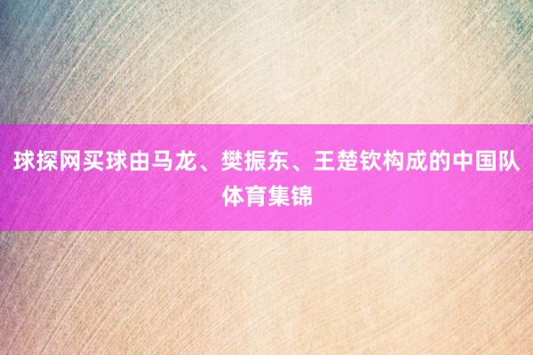 球探网买球由马龙、樊振东、王楚钦构成的中国队体育集锦