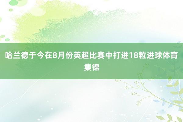 哈兰德于今在8月份英超比赛中打进18粒进球体育集锦