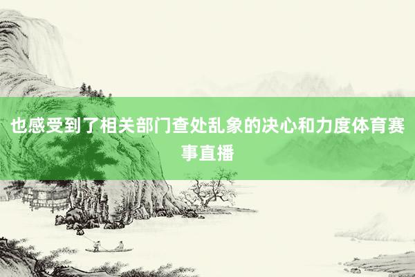 也感受到了相关部门查处乱象的决心和力度体育赛事直播