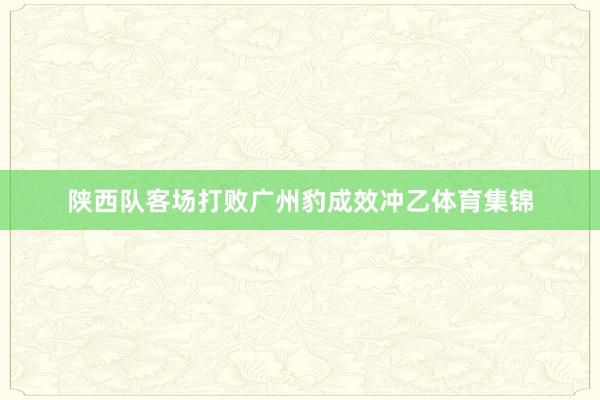 陕西队客场打败广州豹成效冲乙体育集锦