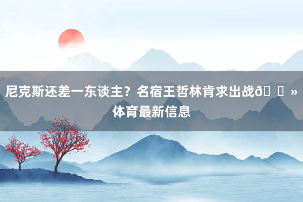 尼克斯还差一东谈主？名宿王哲林肯求出战👻体育最新信息