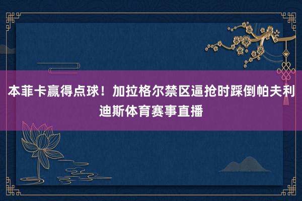 本菲卡赢得点球！加拉格尔禁区逼抢时踩倒帕夫利迪斯体育赛事直播