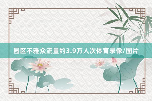 园区不雅众流量约3.9万人次体育录像/图片