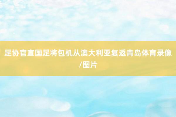 足协官宣国足将包机从澳大利亚复返青岛体育录像/图片