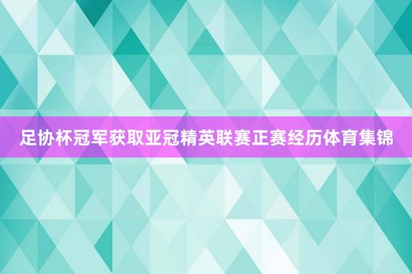 足协杯冠军获取亚冠精英联赛正赛经历体育集锦