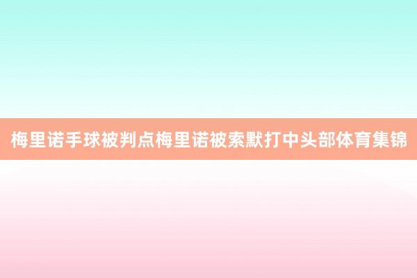 梅里诺手球被判点梅里诺被索默打中头部体育集锦